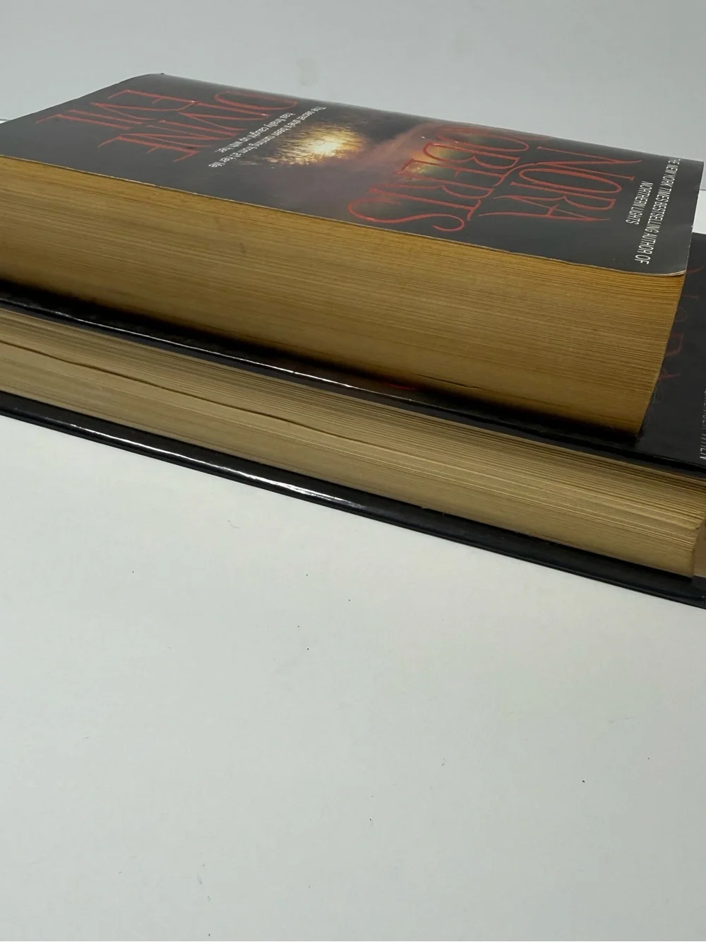 Nora Roberts DIVINE EVIL Hardcover & Paperback Vintage Bundle